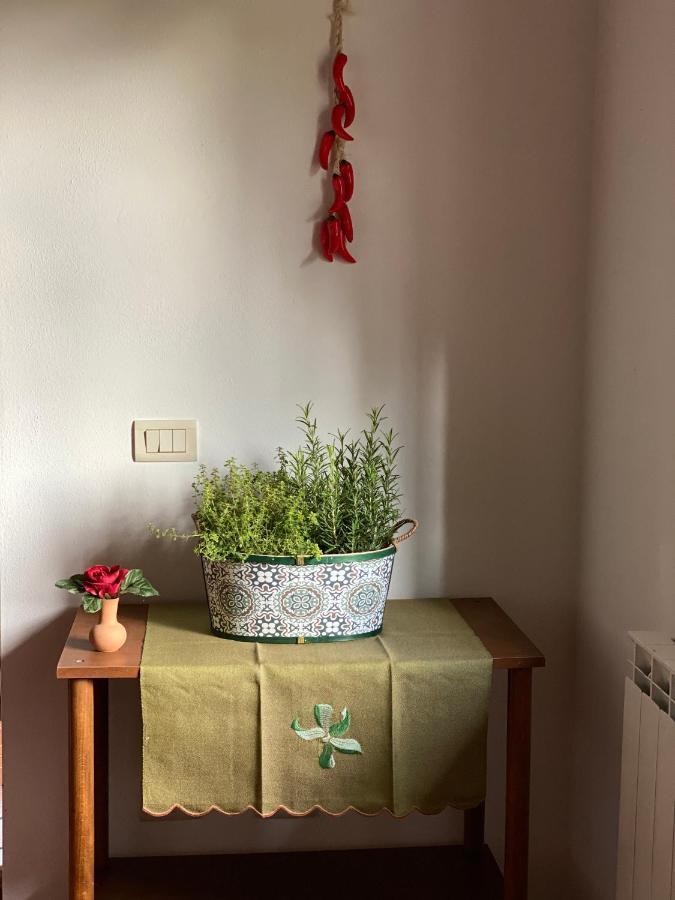 Masso Alle Rose Di Santarsiero Serena Montaione Εξωτερικό φωτογραφία