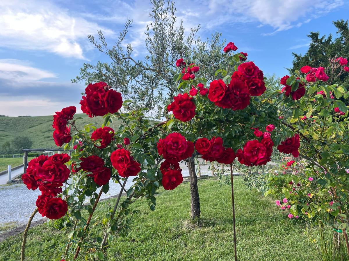 Masso Alle Rose Di Santarsiero Serena Montaione Εξωτερικό φωτογραφία